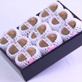 愛媛JAたいき産甘熟キーウィ「愛み(まなみ)キーウィ」10玉化粧箱入