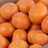 和歌山県湯浅産田村みかん【赤秀品】10キロ産地箱入