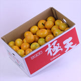 和歌山JA紀南産極天(ごくてん)みかん【赤秀品】5キロ産地箱入