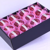 岩手江刺産サンふじ【秀品】12玉化粧箱入 糖度14.5度以上 蜜入り保証品