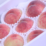 和歌山産日川白鳳(ひかわはくほう)【赤秀品】13~15玉産地化粧箱入