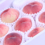 和歌山産八幡白鳳(やはたはくほう)【赤秀品】13~15玉産地化粧箱入