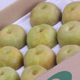 佐賀産温室幸水梨【赤秀品】12~14玉産地箱入