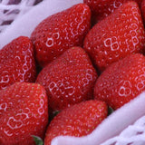 福岡産あまおう【秀品】DX(デラックス) 1パック化粧箱入