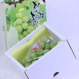 岡山産桃太郎ぶどう【赤秀品】1房化粧箱入 700g~850g前後