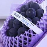 岡山備北産ニューピオーネ「天空の実り」【赤秀品】【美王】1房化粧箱入