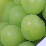 岡山産桃太郎ぶどう【赤秀品】1房化粧箱入 700g~850g前後