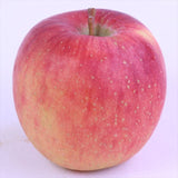 岩手江刺産北斗(ほくと)【秀品】12玉化粧箱入