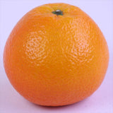 愛媛産宮内いよかん【赤秀品】9玉化粧箱入