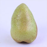 山形産マルゲリットマリーラ【秀品】9玉化粧箱入