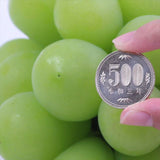 岡山産マスカット・ジパング【赤秀品】1房化粧箱入