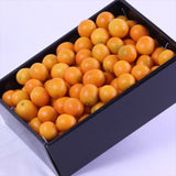 宮崎産種無し金柑「夢丸(ゆめまる)」化粧箱入