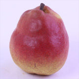 山形産カリフォルニア【特秀品】6玉化粧箱入