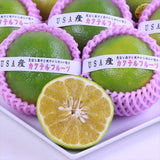 USA産カクテルフルーツ9玉化粧箱入