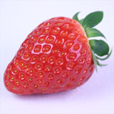 奈良産 古都華(ことか)【秀品】1P化粧箱入