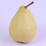 新潟白根または南蒲産ル・レクチェ【赤秀品】4キロ産地箱入