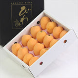 【6月販売】香川産 陽玉(ようぎょく)びわ 【赤秀品】 産地化粧箱入