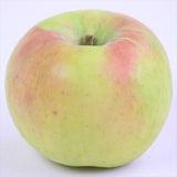 長野安曇野産名月(めいげつ)【特秀品】12玉化粧箱入