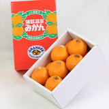 愛知産蒲郡または伊良湖温室みかん【赤秀品】産地化粧箱入「糖度12度以上」