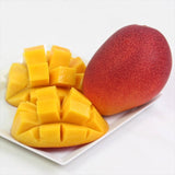 宮崎産完熟マンゴー【赤秀A品】2Lサイズ1玉化粧箱入