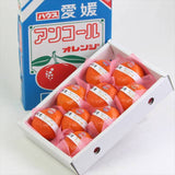 愛媛産ハウスアンコールオレンジ【秀品】産地箱入