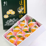 愛媛産デコポン【道後物語】産地化粧箱入