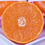 佐賀産はまさき【赤秀品】産地化粧箱入