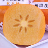 福岡産秋王(あきおう)柿「青秀品」産地箱入