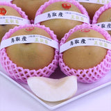 鳥取産王秋(おうしゅう)梨【秀品】6玉化粧箱入