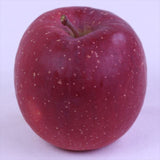 岩手江刺産サンふじ【秀品】12玉化粧箱入 糖度14.5度以上 蜜入り保証品