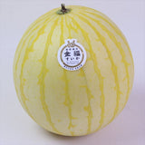 福井産金福すいか【秀品】1玉産地箱入