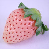 奈良産淡雪(あわゆき) デラックス1P化粧箱入