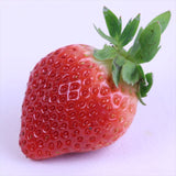 福岡産あまおう【秀品】DX(デラックス) 2パック化粧箱入