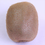 愛媛JAたいき産甘熟キーウィ「愛み(まなみ)キーウィ」10玉化粧箱入