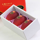 宮崎産完熟マンゴー 太陽のタマゴ「赤秀品」2Lサイズ3玉産地化粧箱入