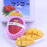 沖縄産完熟マンゴー2Lサイズ2玉産地化粧箱入