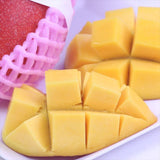 沖縄産完熟マンゴー2Lサイズ2玉産地化粧箱入