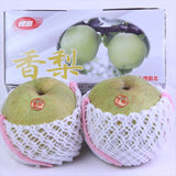 徳島産香梨(かおり)大玉【赤秀品】2玉産地箱入