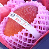 北海道浦臼産神内(じんない)マンゴー ザ・ロイヤル【秀品】3Lサイズ2玉化粧箱入