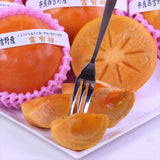 奈良西吉野産富有柿【赤秀品】6玉化粧箱入