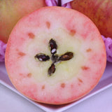 長野産ムーンルージュ【秀品】9玉化粧箱入