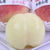 和歌山産日川白鳳(ひかわはくほう)【赤秀品】6玉化粧箱入