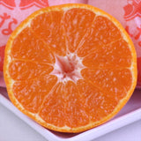 愛媛最高級ブランドみかん 真穴みかん 「ひなの里」12~15粒入化粧箱