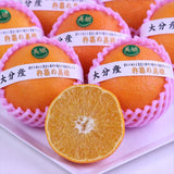 大分産杵築の美娘(きつきのみこ) 【特選品】産地化粧箱