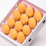 【5月販売】長崎産温室茂木びわ【赤秀品】 産地化粧箱入