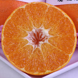 愛媛産甘平(かんぺい)【赤秀品】産地化粧箱入