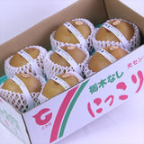 栃木産にっこり梨【赤秀品】産地箱入