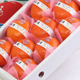 愛媛産ハウスアンコールオレンジ【秀品】産地箱入