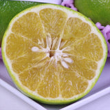 USA産カクテルフルーツ9玉化粧箱入