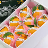 愛媛産デコポン【道後物語】産地化粧箱入